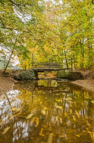 herfst maakt de wereld mooier