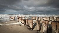Paalhoofden aan stormachtige Zeeuwse kust van Michel Seelen thumbnail