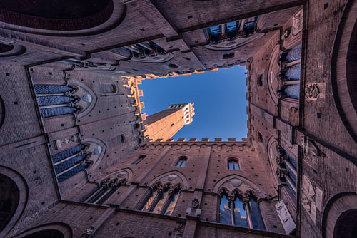 Blick auf den Torre del Mangia, Siena
