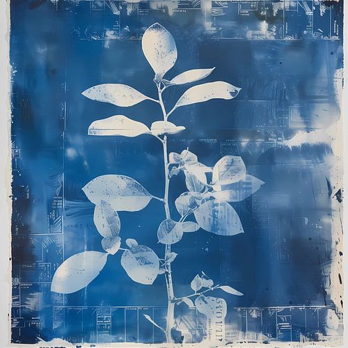 blauw cyanotype silhouet plant