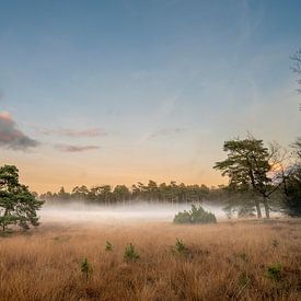 White fog on the Dwingelderveld in Drenthe by Marcel Jurian de Jong