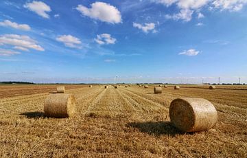 Hay bales in the Flevopolder by Marco Morren