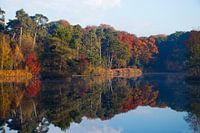 Herbstfarben