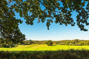 Paysage avec enclos et arbres près de Hohen Demzin sur Rico Ködder