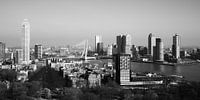 Skyline von Rotterdam (schwarz-weiß)