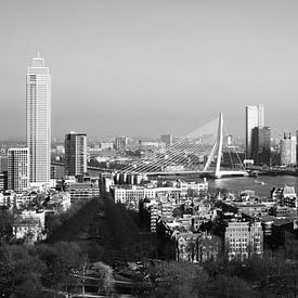 Skyline von Rotterdam (schwarz-weiß) von Clint Steegman