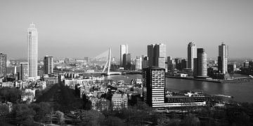 Rotterdam Skyline (zwart-wit) van Clint Steegman