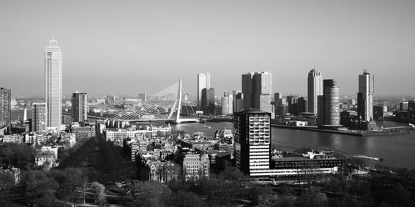 Skyline von Rotterdam (schwarz-weiß) von Clint Steegman