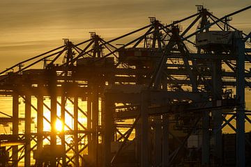 Zonsondergang bij containerterminal Tweede Maasvlakte. van Jaap van den Berg