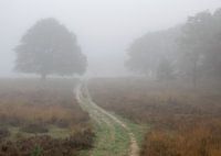 Verstild landschap