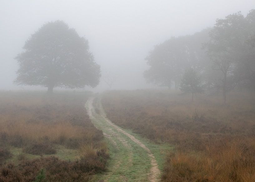 Stille Landschaft von Saskia Pasman