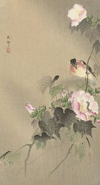 Vogel und Raupe von Ohara Koson