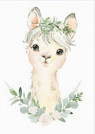 Lama-Baby von Thomas burnet
