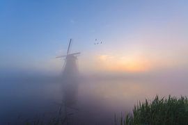 Kinderdijk dans toute sa splendeur ! sur Remco Van Daalen