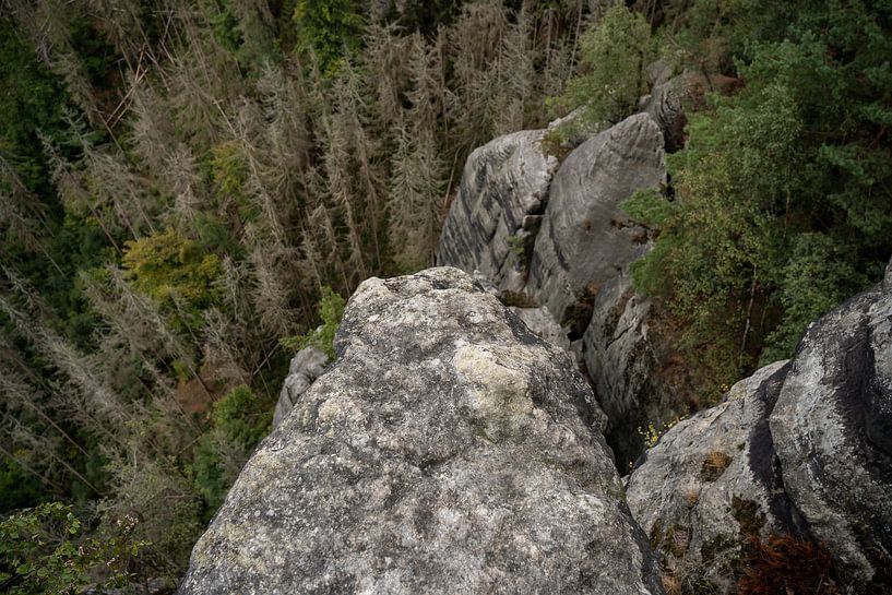 Frienstein, Sächsische Schweiz - Abhang an der Idagrotte von Pixelwerk