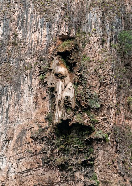 Tuxtla Gutiérrez: Cañón del Sumidero National Park by Maarten Verhees