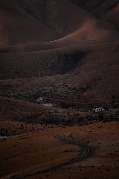 Red desert valley in Fuerteventura by Alica Semle