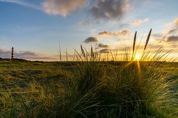 Coucher de soleil