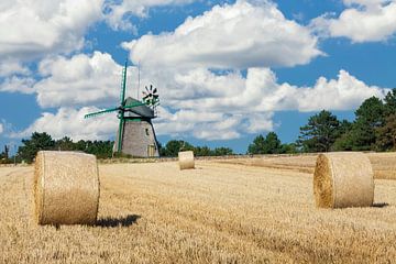 Mühle auf Amrum im Sommer von Markus Lange