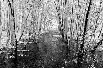 Dutch snow and ice landscape