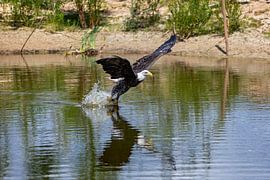 Je t'ai eu sur gea strucks