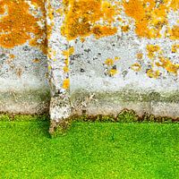 Graphical lines in green and rusty orange