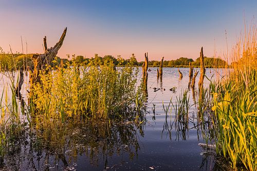 Sunset in national park De Alde Feanen
