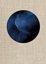 TW Living - SUNRISE MOONLIGHT LINEN by TW living thumbnail