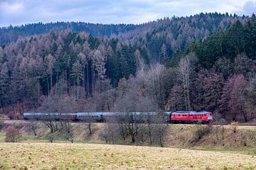 De speciale trein "Winterblitz" kort voor het binnenrijden van Schmalkalden - Thüringen - Duitsland van Oliver Hlavaty