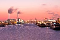 Haven van Rotterdam bij avondschemering in Nederland by Eye on You thumbnail