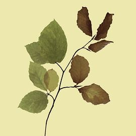 Modern autumn by Andreas Wemmje