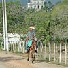 Het plattelandsleven in Cuba van t.ART