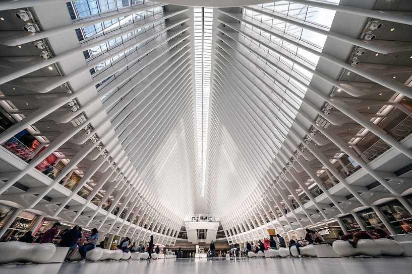 New York The Okulus by Kurt Krause