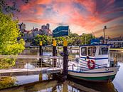 Uitzicht op de Saale met kasteel Bernburg van Animaflora PicsStock thumbnail
