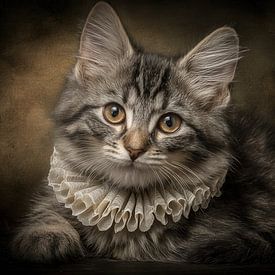 Portret van een Kat met Kantkraag - Oude meesters stijl van Joriali fotografie en schilderijen