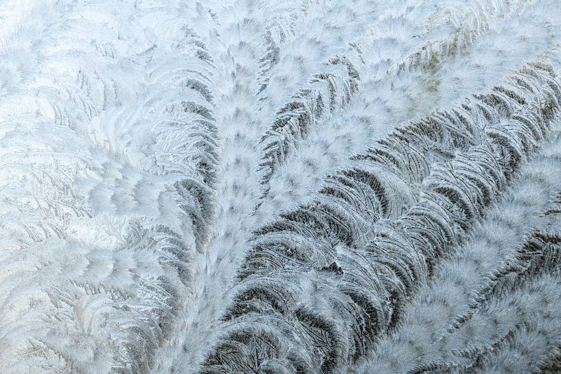 Eisblumen | Abstraktes Foto | Naturfotografie von Nanda Bussers