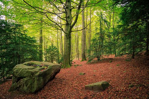 die alte Taufe im Deister