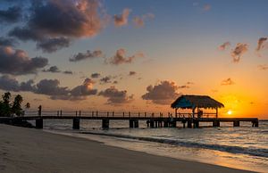 Coucher de soleil à Tobago