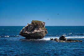 Mushroom Rock