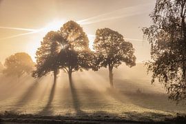 Sunrise in the fog by Robin Feldmann
