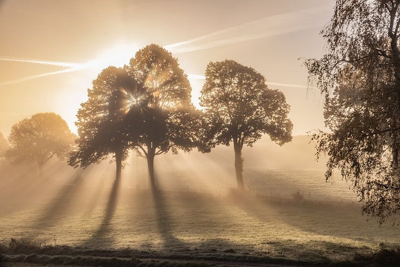 Zonsopgang in de mist van Robin Feldmann