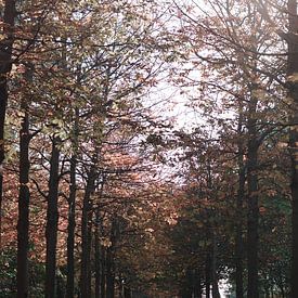 Wanderer im Herbst von Talitha Blok