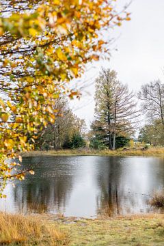 Herbstbild in Friesland 1 von Lydia