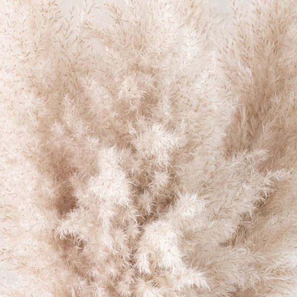 Flauschige Fahne II von Klaartje Majoor