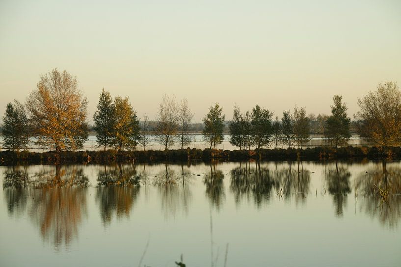 Veendammen in kleur by Wim de Lange
