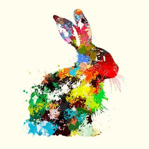 Plätscherndes Kaninchen
