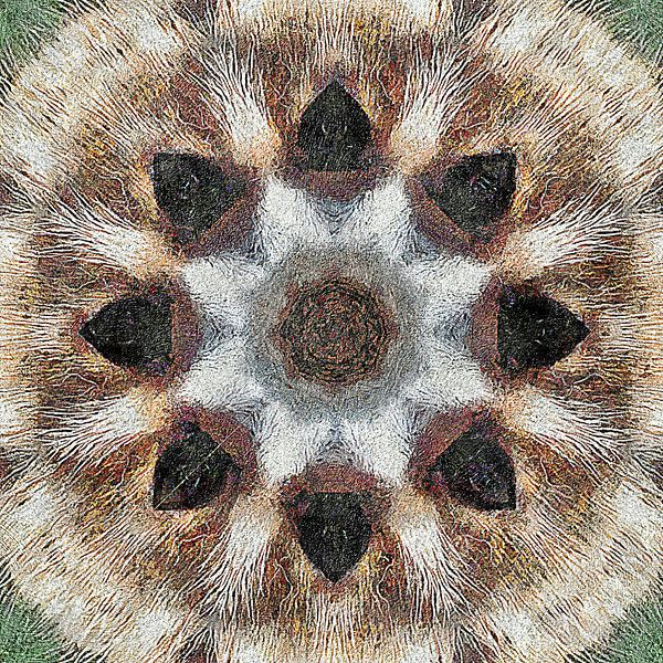 Ginger Cat Kaleidoscope by Dorothy Berry-Lound