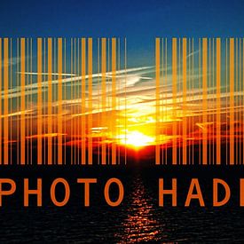 William Haddock Profile picture