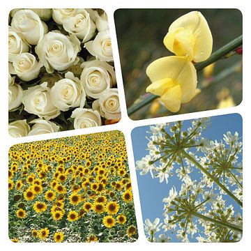 Flower collage geel van Irene Polak