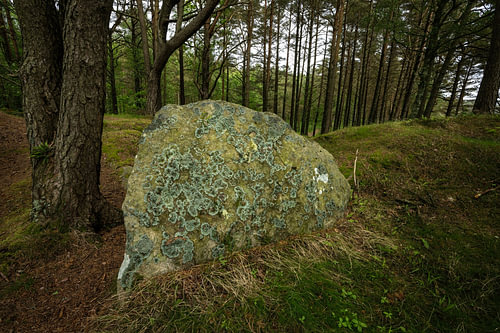 Findling im Küstenwald Südnorwegens